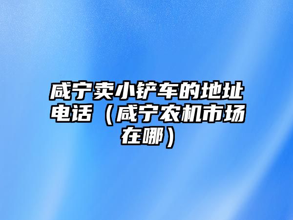 咸寧賣小鏟車的地址電話（咸寧農(nóng)機市場在哪）