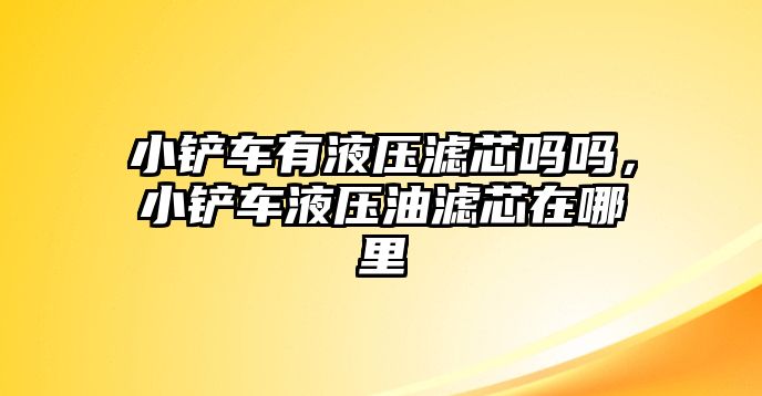 小鏟車有液壓濾芯嗎嗎，小鏟車液壓油濾芯在哪里