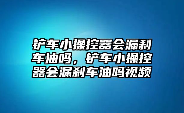 鏟車小操控器會漏剎車油嗎，鏟車小操控器會漏剎車油嗎視頻