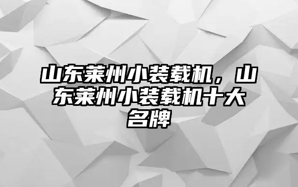 山東萊州小裝載機，山東萊州小裝載機十大名牌