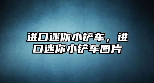 進口迷你小鏟車，進口迷你小鏟車圖片