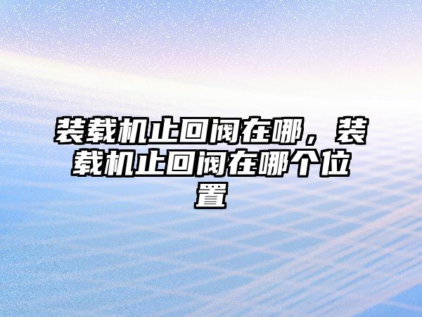 裝載機止回閥在哪，裝載機止回閥在哪個位置