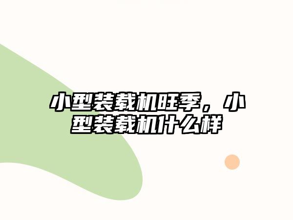 小型裝載機旺季，小型裝載機什么樣