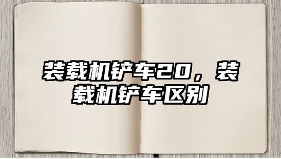 裝載機(jī)鏟車20，裝載機(jī)鏟車區(qū)別