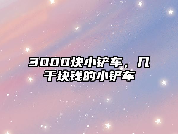 3000塊小鏟車，幾千塊錢的小鏟車