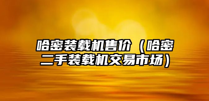 哈密裝載機售價（哈密二手裝載機交易市場）