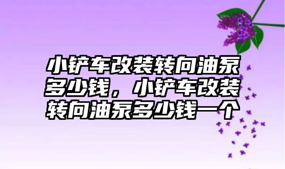 小鏟車改裝轉向油泵多少錢，小鏟車改裝轉向油泵多少錢一個