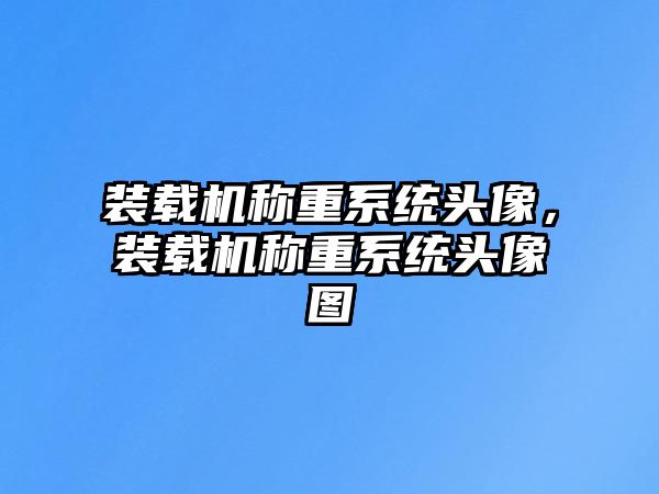 裝載機稱重系統頭像，裝載機稱重系統頭像圖