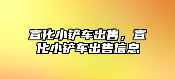 宣化小鏟車出售，宣化小鏟車出售信息