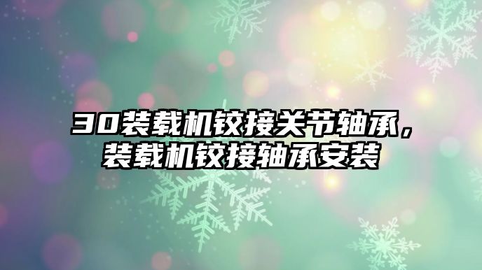 30裝載機鉸接關節軸承，裝載機鉸接軸承安裝