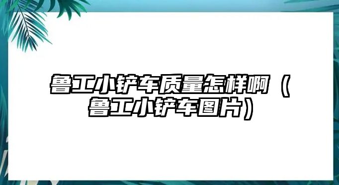 魯工小鏟車質量怎樣啊（魯工小鏟車圖片）