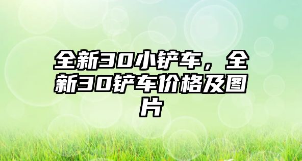 全新30小鏟車，全新30鏟車價格及圖片