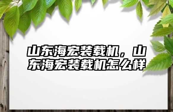 山東海宏裝載機，山東海宏裝載機怎么樣