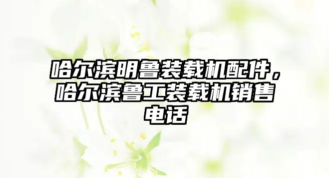 哈爾濱明魯裝載機配件，哈爾濱魯工裝載機銷售電話