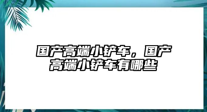 國產高端小鏟車，國產高端小鏟車有哪些