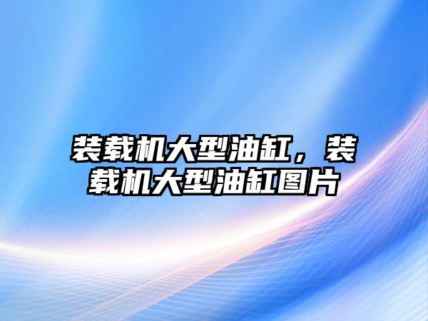 裝載機大型油缸，裝載機大型油缸圖片