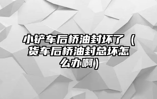 小鏟車后橋油封壞了（貨車后橋油封總壞怎么辦啊）