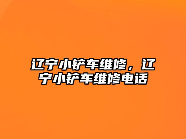 遼寧小鏟車維修，遼寧小鏟車維修電話