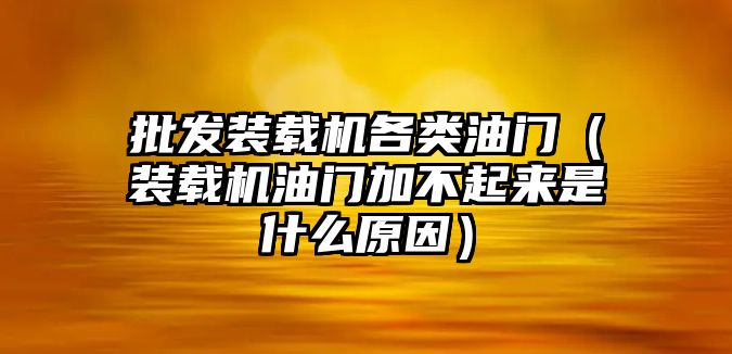 批發(fā)裝載機(jī)各類油門（裝載機(jī)油門加不起來是什么原因）