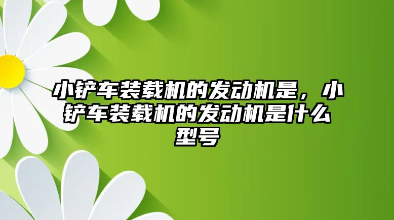 小鏟車裝載機的發動機是，小鏟車裝載機的發動機是什么型號