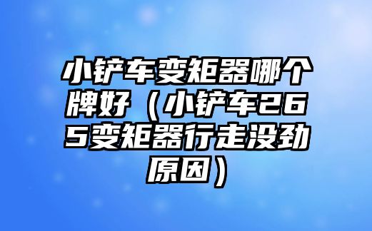 小鏟車變矩器哪個牌好（小鏟車265變矩器行走沒勁原因）