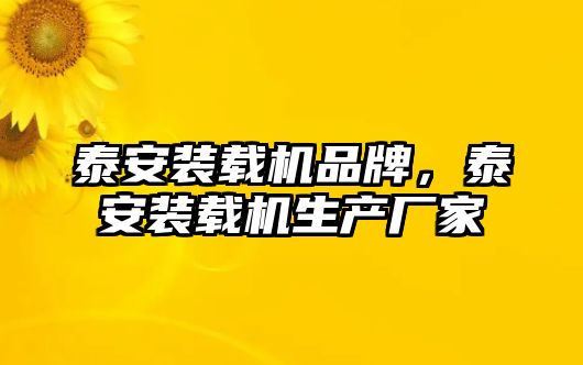 泰安裝載機品牌，泰安裝載機生產廠家