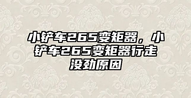 小鏟車265變矩器，小鏟車265變矩器行走沒勁原因