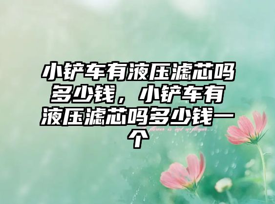 小鏟車有液壓濾芯嗎多少錢，小鏟車有液壓濾芯嗎多少錢一個(gè)