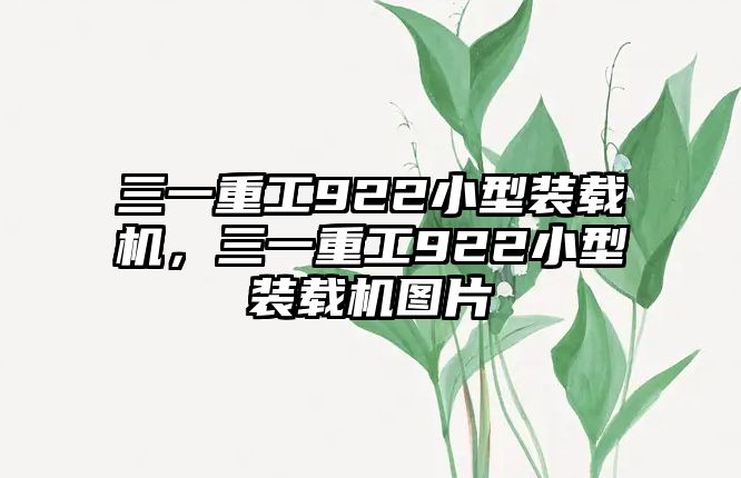 三一重工922小型裝載機，三一重工922小型裝載機圖片