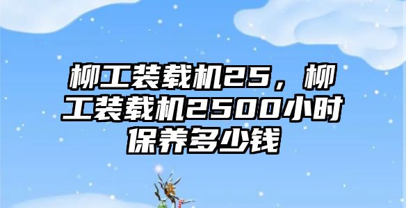 柳工裝載機25，柳工裝載機2500小時保養多少錢