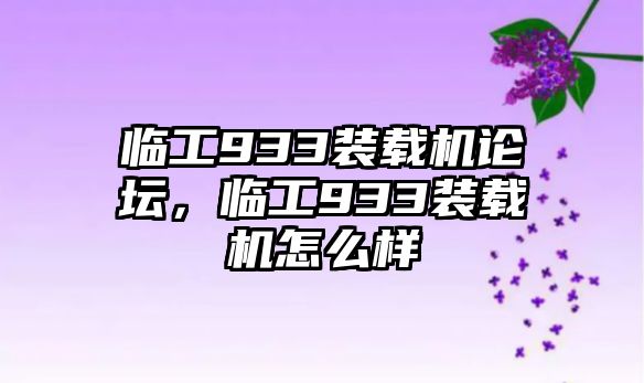 臨工933裝載機論壇，臨工933裝載機怎么樣