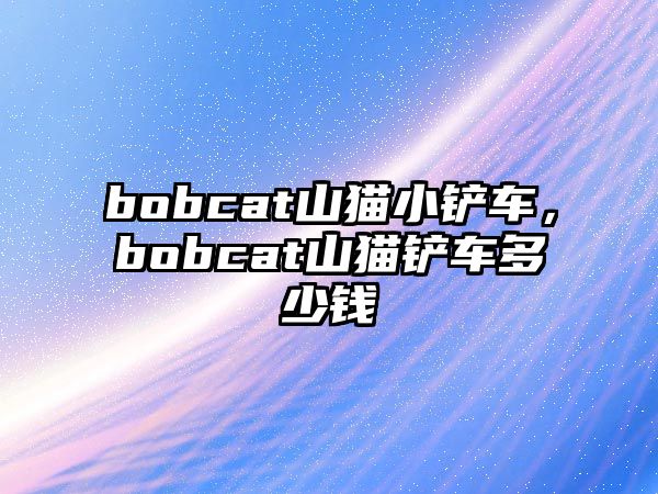 bobcat山貓小鏟車，bobcat山貓鏟車多少錢