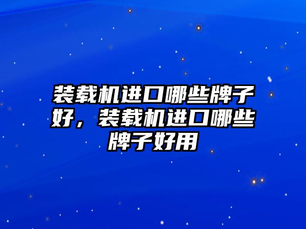 裝載機(jī)進(jìn)口哪些牌子好，裝載機(jī)進(jìn)口哪些牌子好用