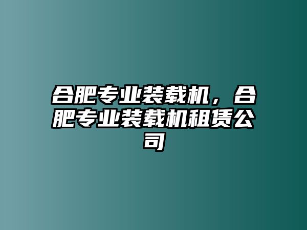 合肥專業(yè)裝載機(jī)，合肥專業(yè)裝載機(jī)租賃公司