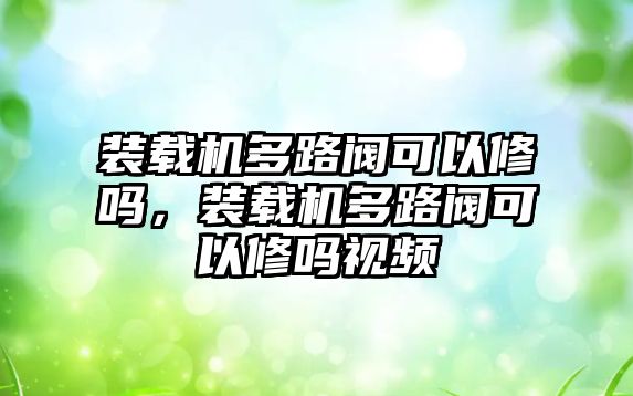 裝載機多路閥可以修嗎，裝載機多路閥可以修嗎視頻