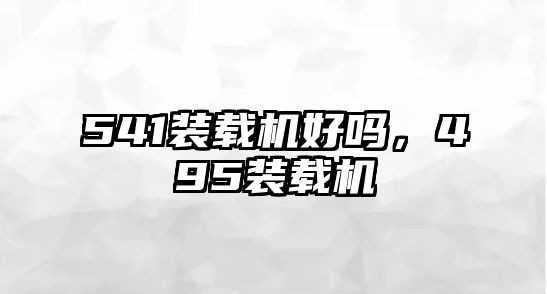 541裝載機好嗎，495裝載機