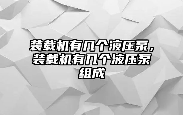 裝載機(jī)有幾個(gè)液壓泵，裝載機(jī)有幾個(gè)液壓泵組成