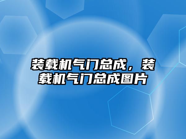 裝載機氣門總成，裝載機氣門總成圖片