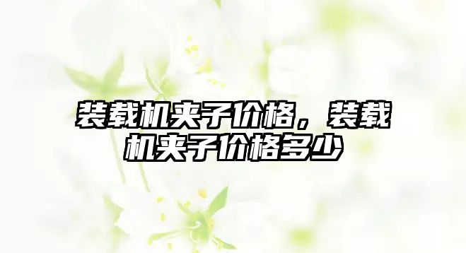 裝載機夾子價格，裝載機夾子價格多少