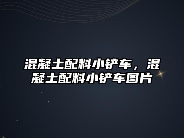 混凝土配料小鏟車，混凝土配料小鏟車圖片