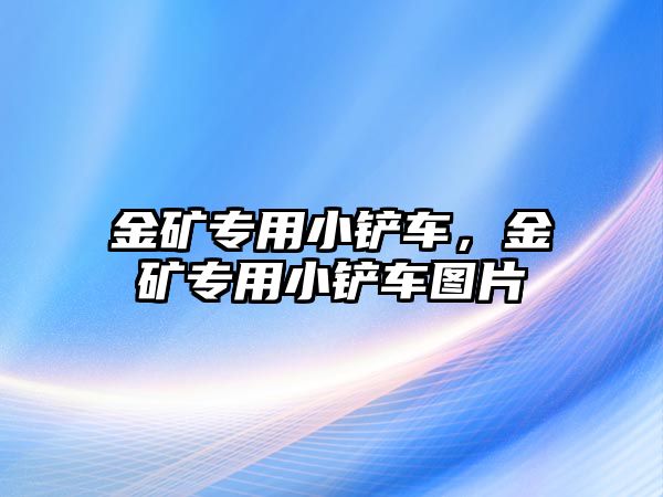 金礦專用小鏟車，金礦專用小鏟車圖片