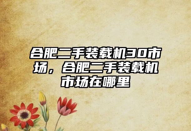 合肥二手裝載機30市場，合肥二手裝載機市場在哪里