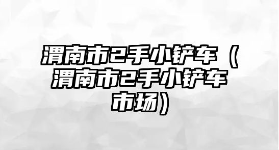 渭南市2手小鏟車（渭南市2手小鏟車市場）