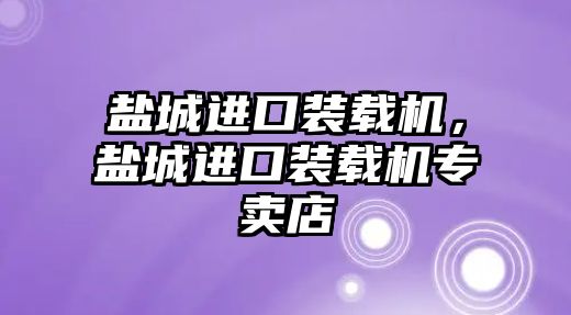 鹽城進口裝載機，鹽城進口裝載機專賣店