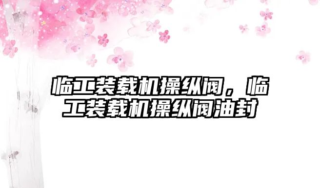 臨工裝載機(jī)操縱閥，臨工裝載機(jī)操縱閥油封