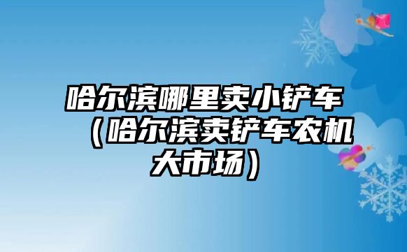 哈爾濱哪里賣小鏟車（哈爾濱賣鏟車農機大市場）