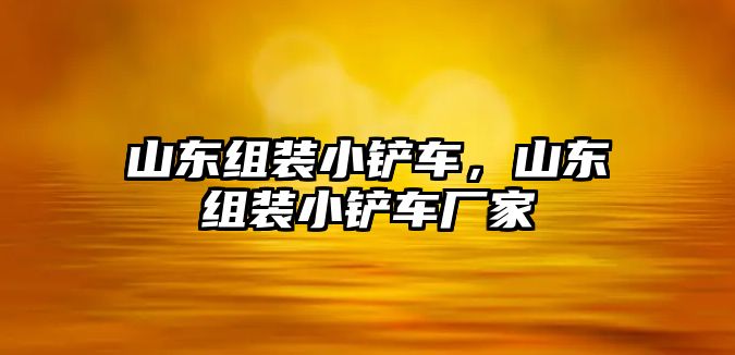 山東組裝小鏟車，山東組裝小鏟車廠家