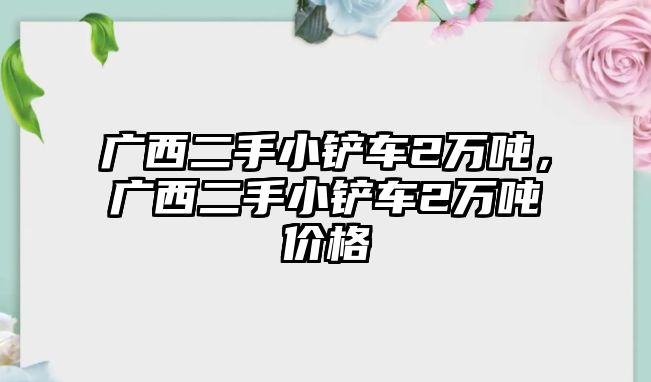 廣西二手小鏟車2萬噸，廣西二手小鏟車2萬噸價格