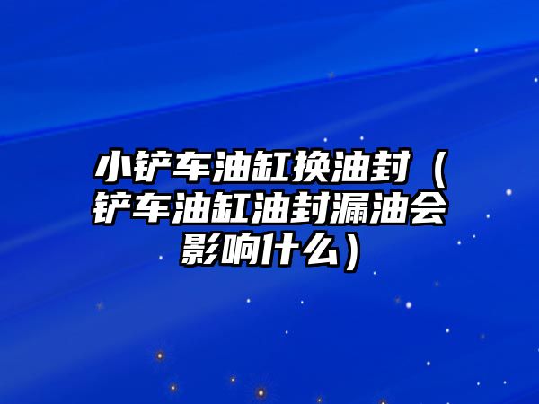 小鏟車油缸換油封（鏟車油缸油封漏油會影響什么）