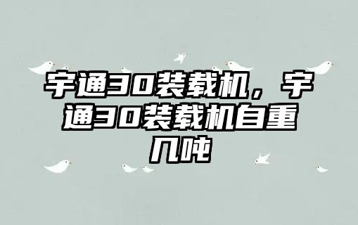 宇通30裝載機，宇通30裝載機自重幾噸